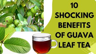 SHOCKING BENEFITS OF GUAVA LEAVES TEA