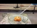 Strongest Acid in the world (Carborane Superacid) vs an Orange