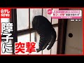 【猫】これは事件…外に出ようとした猫の「見たことない風景」