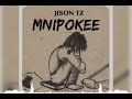 Jison Tz - Mnipokee ( Official Music Audio)