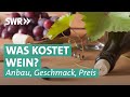 Herkunft, Anbau und Qualität von Wein: Johannes Zenglein unterwegs im Südwesten | Was kostet...? SWR