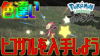 【ポケモンアルセウス】色違いヒコザルを入手しよう【Pokémon LEGENDS アルセウス】