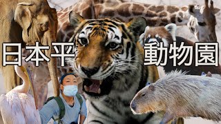 【静岡市】日本平動物園に行ってきたよ