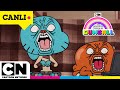 🔴 CANLI 🔴 | GUMBALL | FİNAL SEZON | OFF AIR WEB ÖZEL YAYIN