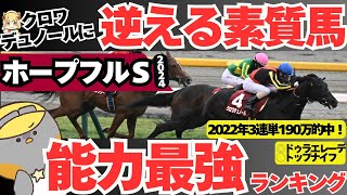 【ホープフルステークス2024】クロワデュノールは”本物”なのか？中山で最大パフォーマンスを発揮できる強豪は誰か会議【競馬予想】