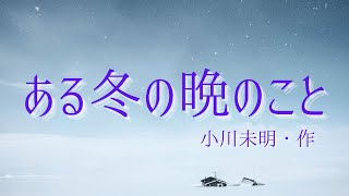 【穏やかな読み聞かせ】ある冬の晩のこと（小川未明・作）【美しく悲しげな童話】