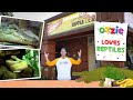 Reptiles For Kids | Learn About The World's Deadliest Snakes | Educational Kid's Video With Ozzie