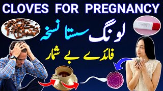 Clove For Pregnancy |Clove Water For Male And Female Fertility |Cloves Health Benefits |Long k Faidy