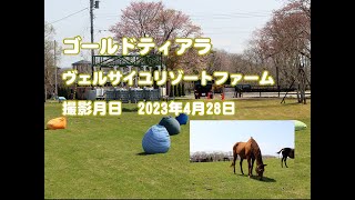 ゴールドティアラ近況報告(2023年4月撮影)