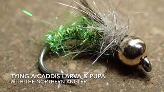 Fly Tying Caddis Larva/Pupa