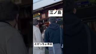 【とびっちょしらす丼本店】取材拒否江ノ島店 全店制覇 早朝に釜揚げしらす丼大量に食べてみた 1230