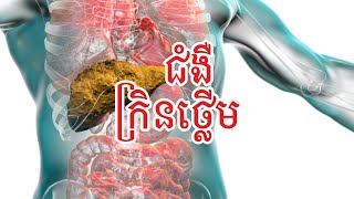 🔴​​នាទីសុខភាព​ប្រធានបទ​ “ជំងឺក្រិនថ្លើម”