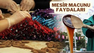 MESİR MACUNU NEDİR/MESİR MACUNU FAYDALARI NELERDİR/MESİR MACUNU NE İŞE YARAR/MESİR MACUNU ZARARLARI