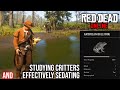 How to STUDY CRITTERS and EFFECTIVELY Sedate Animals in Red Dead Online- Naturalist Role