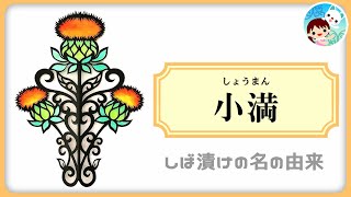 【08】二十四節気「小満」とは？＆京都「しば漬け」名の由来～日本の季節と暦を学ぶ