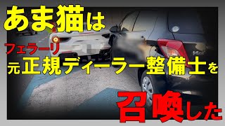 【あま猫砲でた】元フェラーリ正規ディーラー勤務整備士を召喚し反論！もう契約した人いるのにまだやるの…