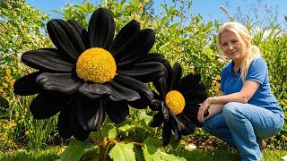 15 Flowers So Weird You’ll Question If They’re Real – Yes, They’re Real