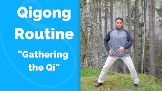 Gathering the Qi - Qigong for Qi depletion, fatigue, and energy w/ Jeff Chand