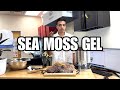 CÓMO PREPARAR GEL DE SEA MOSS