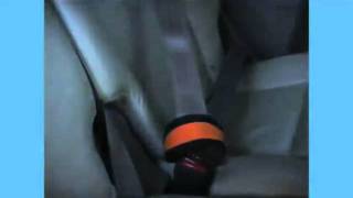 Kurgo Tru Fit Dual Walking & Seat Belt Harness