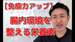 【免疫力アップ】腸内環境を整える栄養素