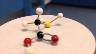 Appplications of Amines and Amides Video