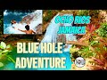 BLUE HOLE ADVENTURE (A Complete Tour) - Ocho Rios, Jamaica