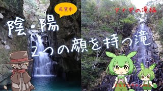 【ずんだもん・虚音イフ】陰と陽、二つの顔を持つ滝