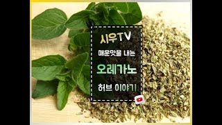 매운맛을 증가시키는 허브 오레가노(Oregano)