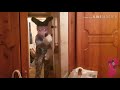 Милли приехала Распаковка фурсьюта манокита от fursuit wa