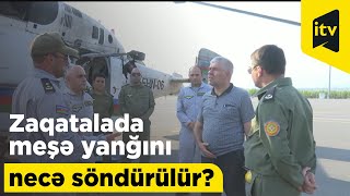 Zaqatalada meşə yanğını necə söndürülür?