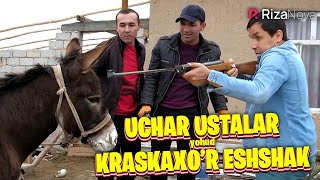 Akula - Uchar ustalar yohud kraskaxo'r Eshshak