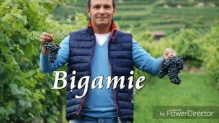 Daniel Buzdugan - Farsă - Bigămie (2016)