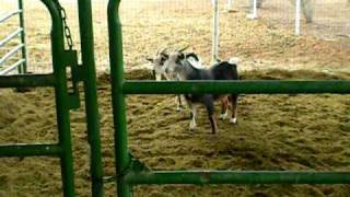 DSCN0009[1]