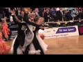 Zharkov - Kulikova, RUS | 2014 GS STD Stuttgart R3 Q | DanceSport Total