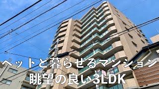 【内見動画】ペットと暮らせるマンション・眺望の良い3LDK‼︎