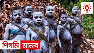 সবচেয়ে খাটো মানব জাতি | পিগমি সম্প্রদায় | কি কেন কিভাবে | Pygmy | Ki Keno Kivabe