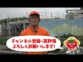 9月に家庭菜園で注意する害虫5選！葉物野菜を成功させる為に気をつけたい対策も紹介！秋冬野菜のハクサイ・キャベツ・ブロッコリーのポイントを紹介！【農園ライフ】