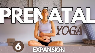 Pregnancy Stretches Day 6 | Expansion 10 Min Prenatal Yoga Stretches for Hip Pain