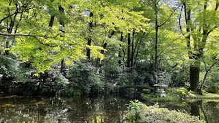 岐阜公園を散策　岐阜市