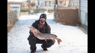 Monster 40+ Northern Pike! Danzig Dam North Dakota.