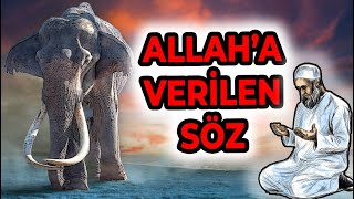 ALLAH'A VERİLEN SÖZ - ANİMASYONLU DİNİ HİKAYE