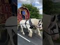 gypsy wagon on the road