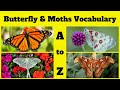 🦋 Butterflies and Moths Vocabulary A to Z 🌸🐛: Full Version for Kids | Insect Vocabulary | Butterfly