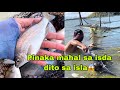 Catch and cook: pinaka mahal na isda dito sa isla🤤/TALIM ISLANDER