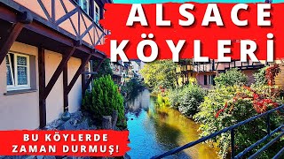 ALSACE KÖYLERİ - Zamanın durduğu yer | Obernai, Barr, Ribeauville, Kaysersberg, Riquewihr, Eguisheim