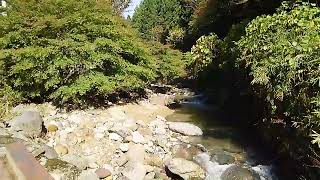 ♨寺山鉱泉　栃木の秘湯鉱泉