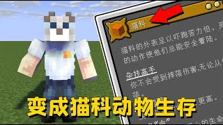 我的世界mod：阿阳变成猫科动物生存，苦力怕见了我转头就跑！