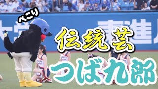 【伝統芸炸裂】特殊な訓練を受けたジュニアチアと、つば九郎さん。