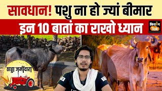 Temperature Red Alert: भीषण गर्मी में पशुओं को हो सकते हैं ये 10 रोग, ऐसे करें पहचान | Kisan Tak